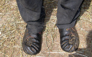 Image Image