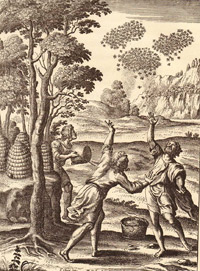 Image Image