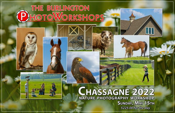 Burlington Photo Workshops